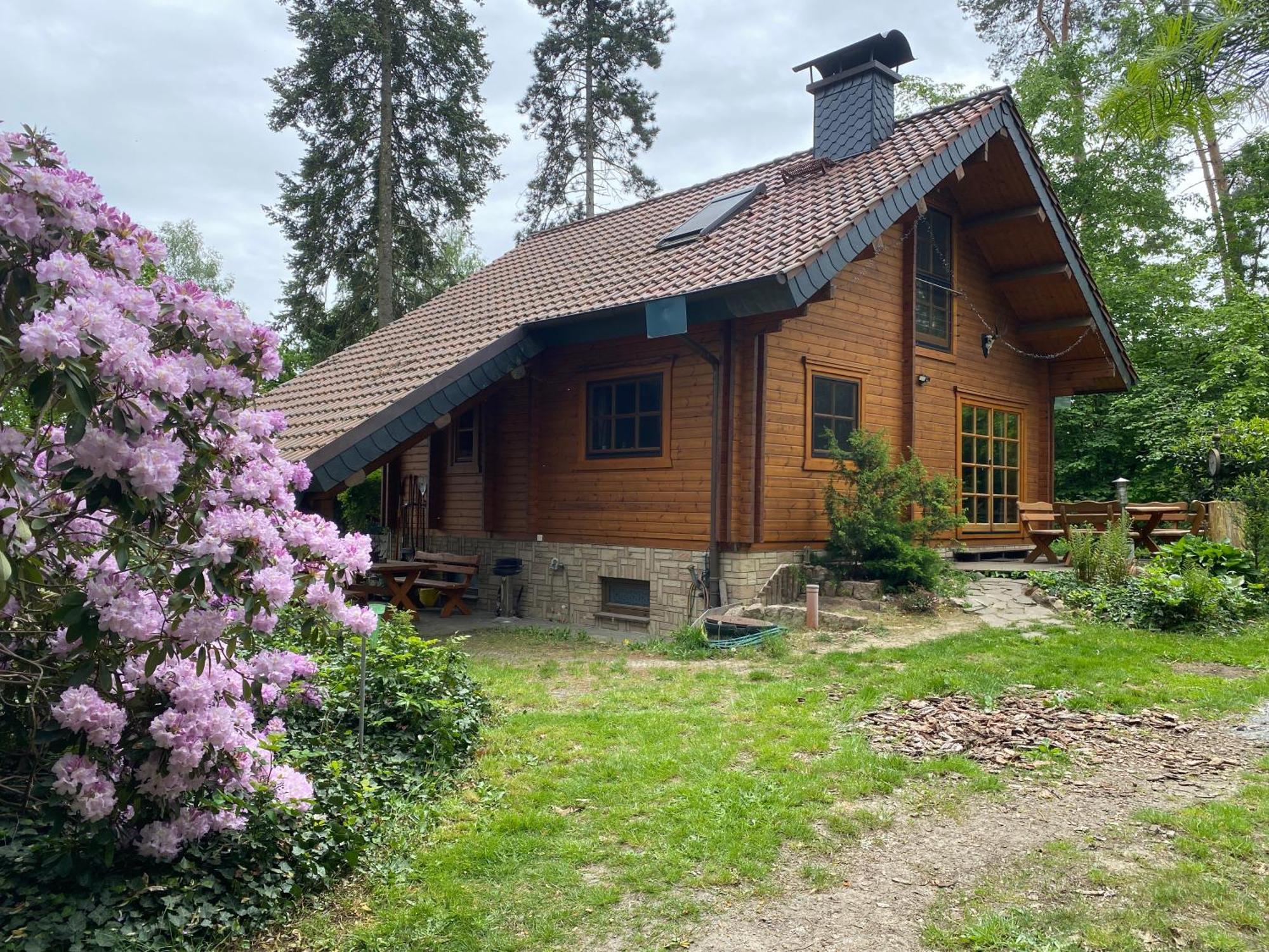 Waldhaus Eichhoernchen 바트 슈미데베르크 외부 사진